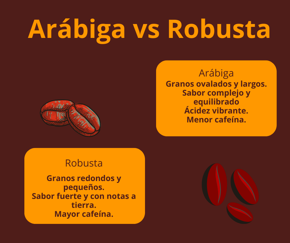 Café Arábica vs. Robusta: ¿Cuál elegir? - Jaguar Coffee Shop