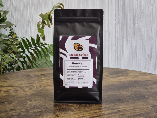 Café Natural con Maceración de Dióxido de Carbono - Cuamila, Puebla - Belén Arias - Jaguar Coffee Shop